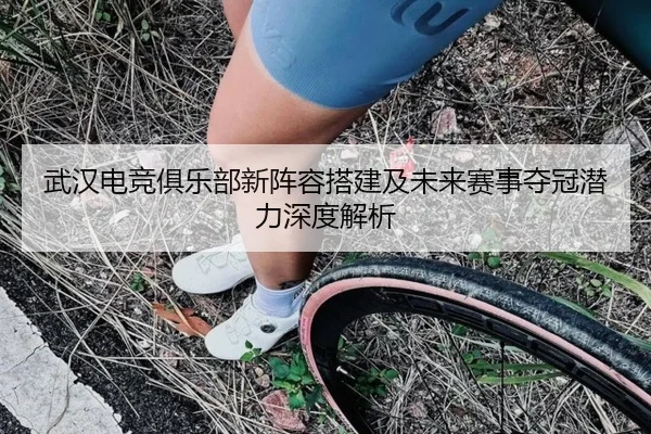 武汉电竞俱乐部新阵容搭建及未来赛事夺冠潜力深度解析
